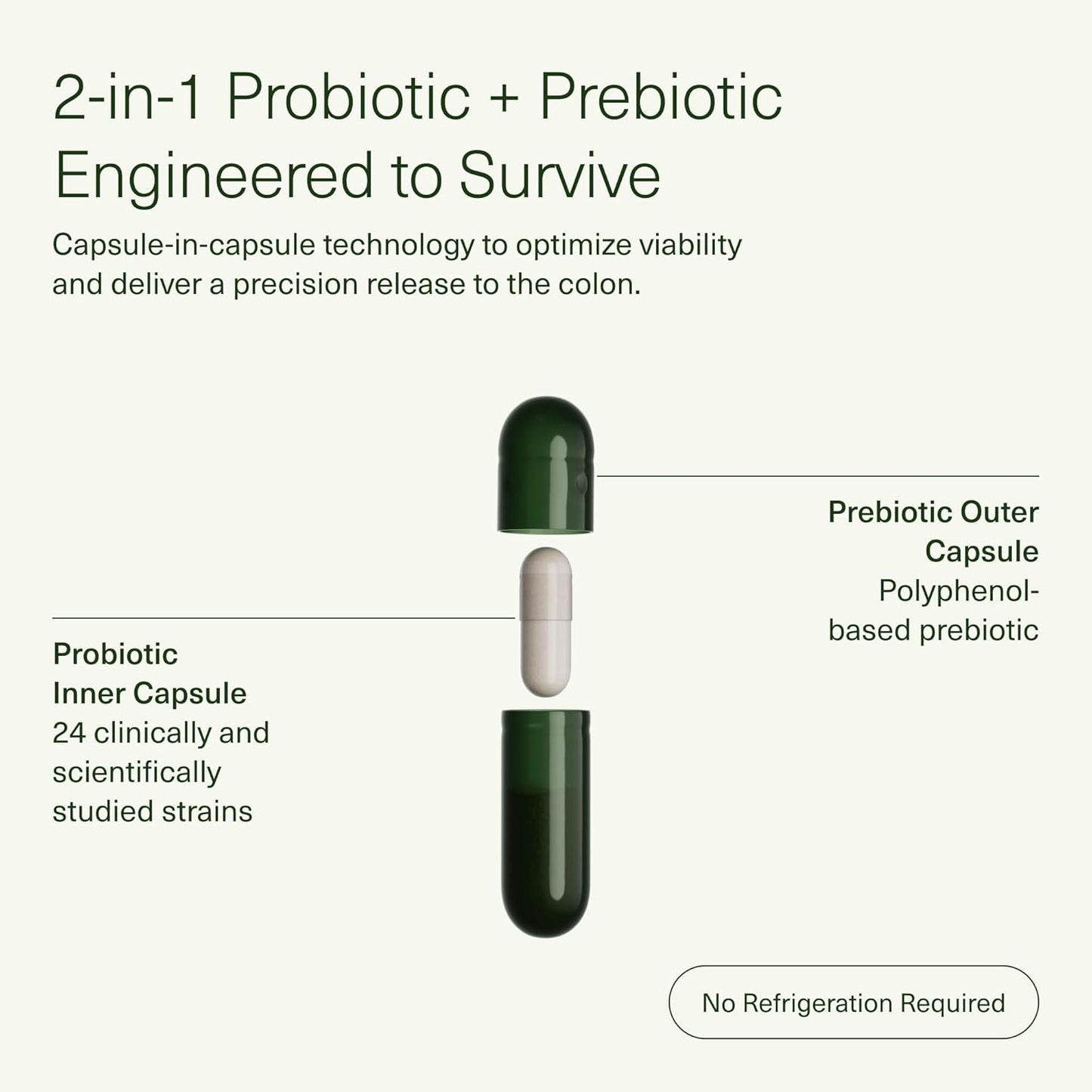 Seed DS-01® Daily Synbiotic