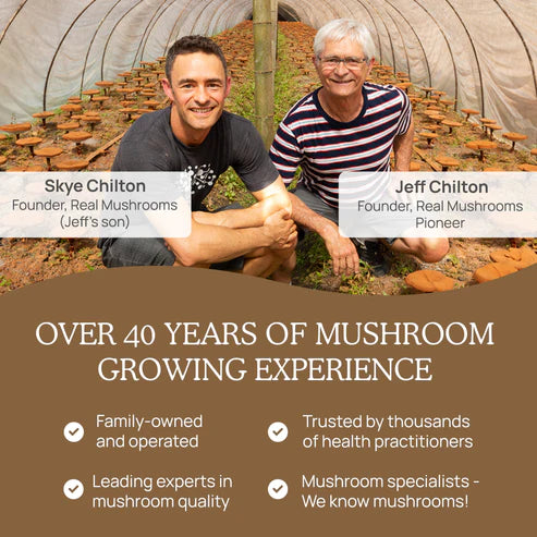 Lion's Mane Extract Capsules | real mushrooms