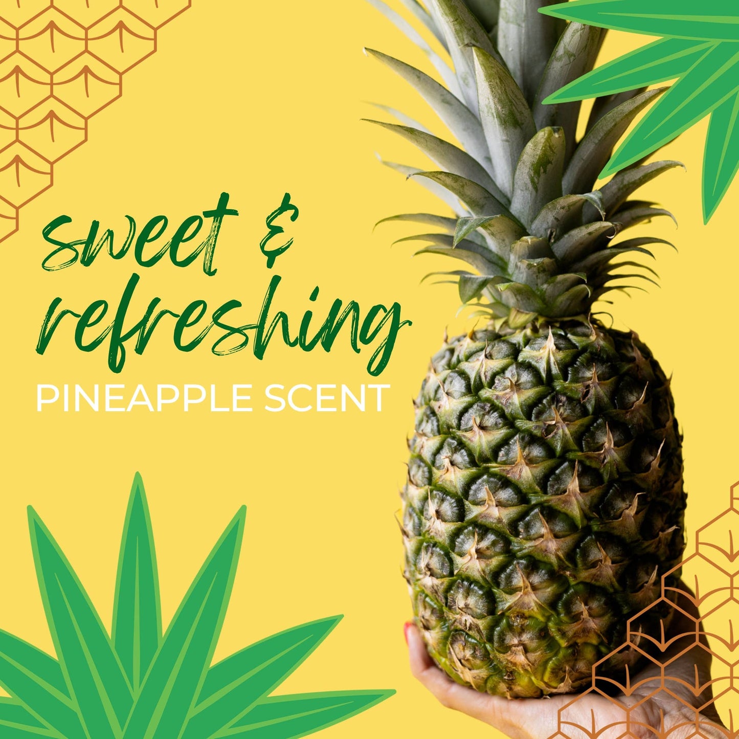 LIMITED Pineapple Shampoo Bar