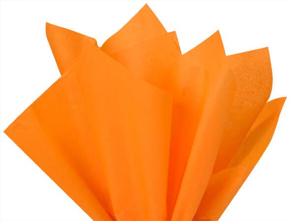 Color Tissue Paper 20X30" 24 Sheet Pack