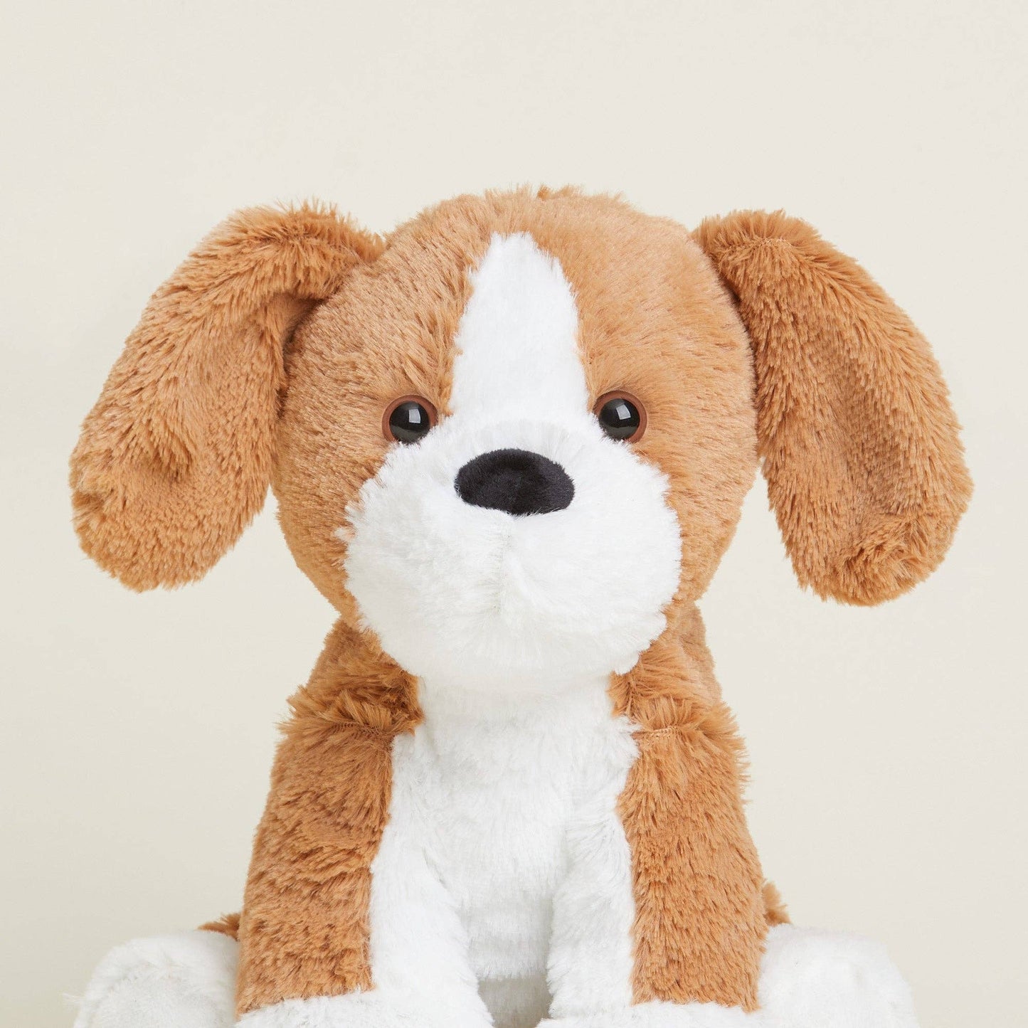 Beagle Warmies