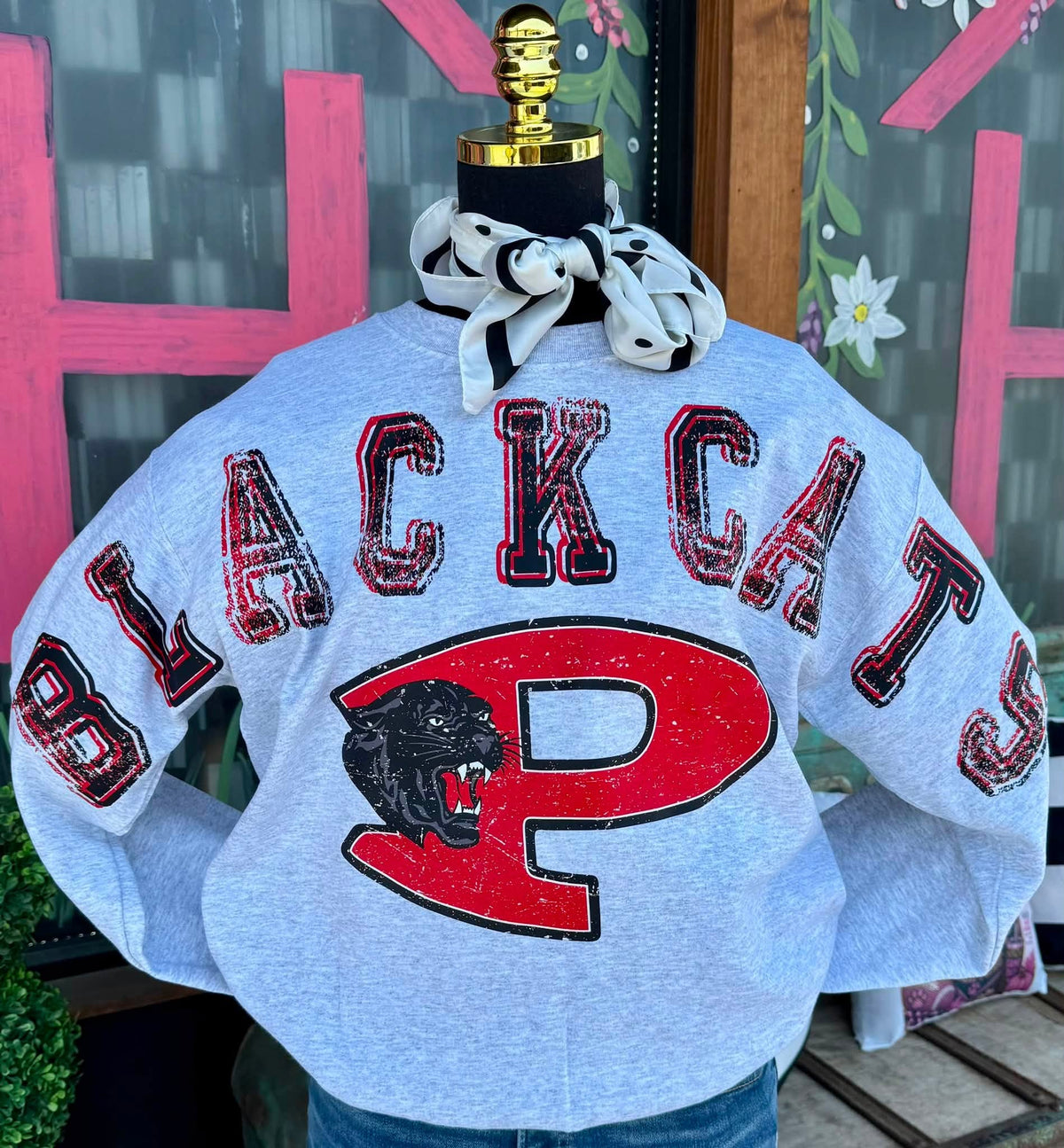 **PREORDER** Everyday Mascot Sweatshirt