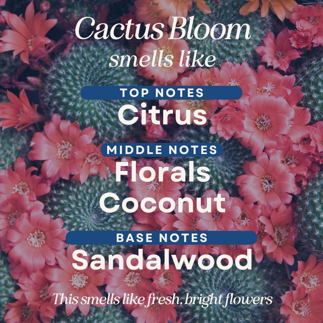 Scented Room & Linen Spray: Cotton Candy / 2 oz Travel Mini