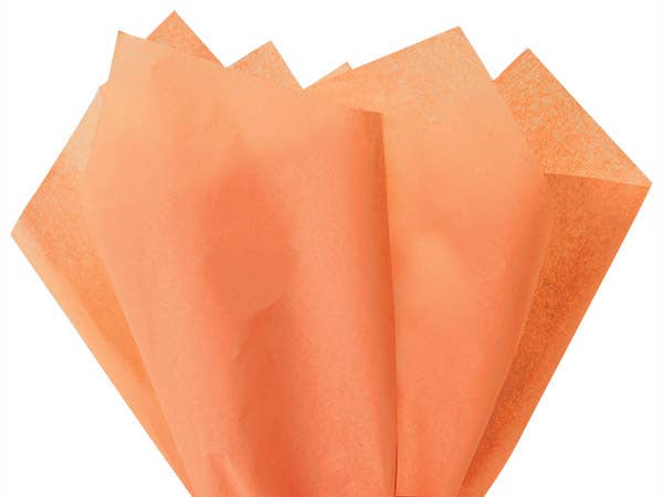 Color Tissue Paper 20X30" 24 Sheet Pack