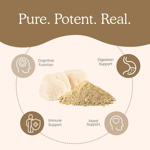 Lion's Mane Extract Capsules | real mushrooms
