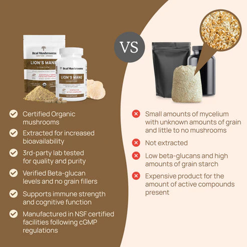 Lion's Mane Extract Capsules | real mushrooms