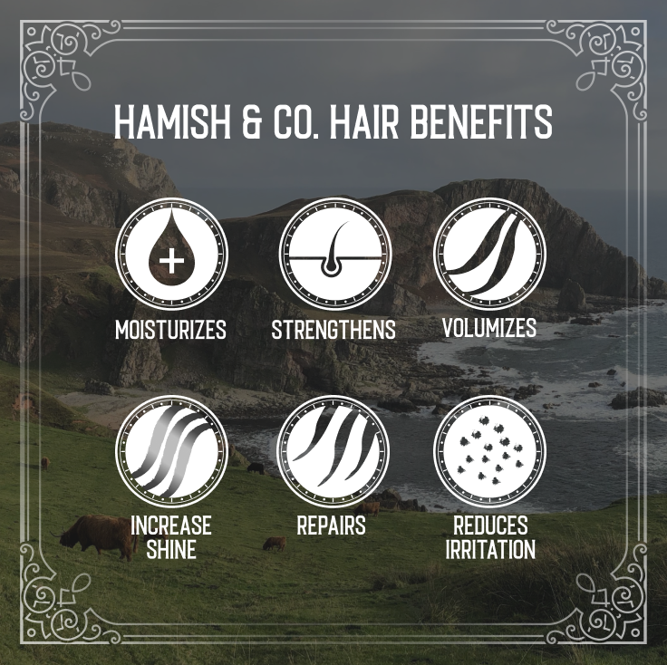 Shampoo Bar | Hamish & Co | Citron & Ginger