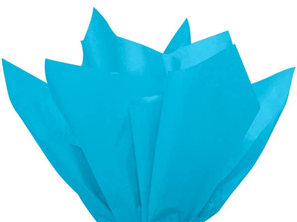 Color Tissue Paper 20X30" 24 Sheet Pack