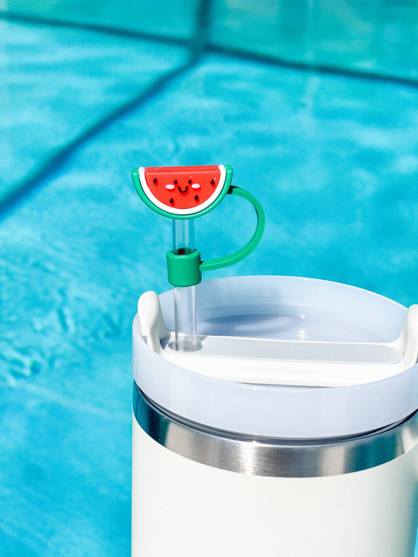 Straw Cover "Watermelon"
