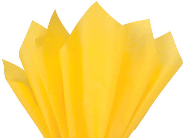 Color Tissue Paper 20X30" 24 Sheet Pack